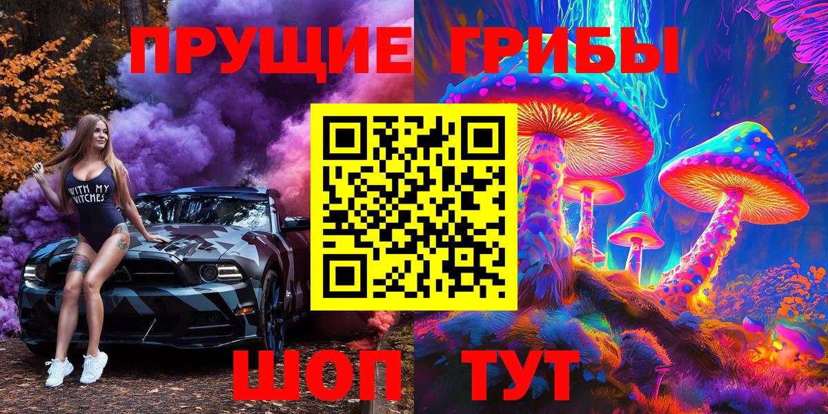 Псилоцибиновые грибы GOLDEN TEACHER Северск